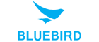 Bluebird Pidion