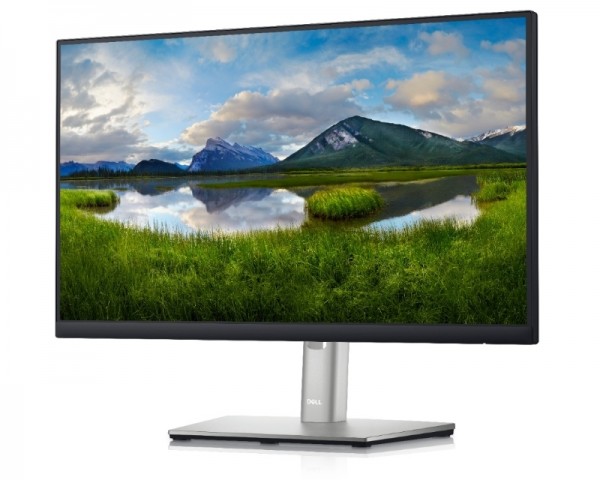 DELL 21.5'' P2222H Professional IPS monitor