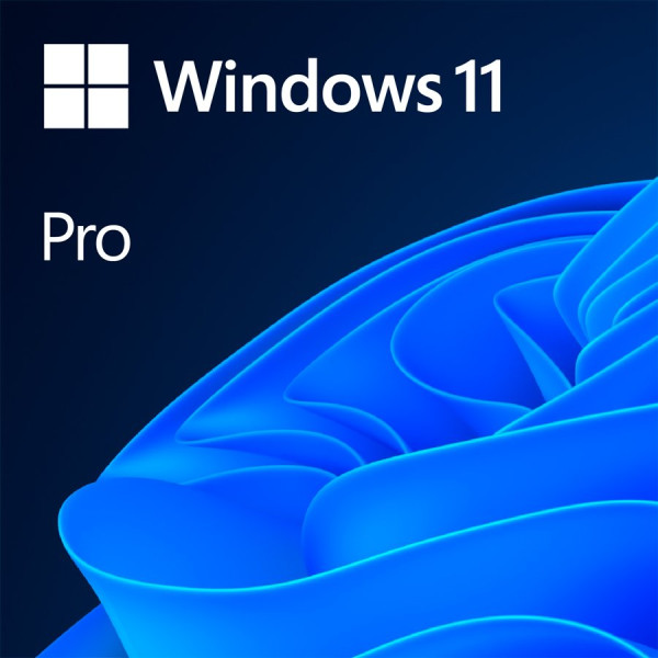 Windows 11 Professional 64Bit English Intl 1pk DSP OEI DVD ( FQC-10528 ) 