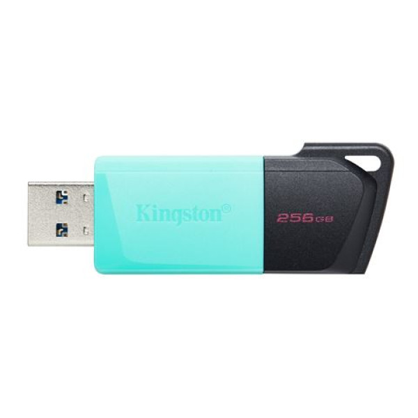 USB FD.256GB KINGSTON DTXM256GB