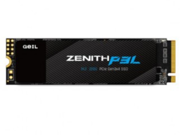 SSD GEIL GZ80P3L-256GP 256GBM.2' ( 'GZ80P3L-256GP' )