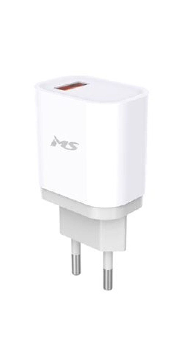 ZIDNI PUNJAČ MS POWER Z300